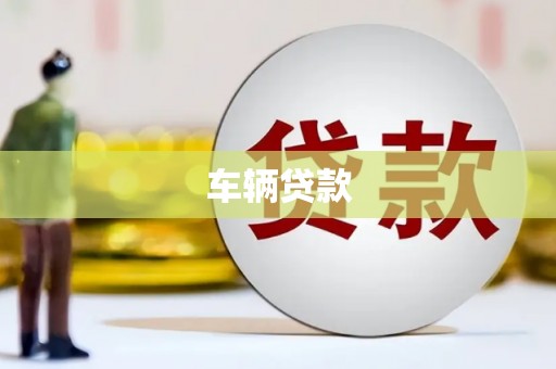 元长车辆贷款