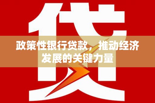 元长政策性银行贷款，推动经济发展的关键力量