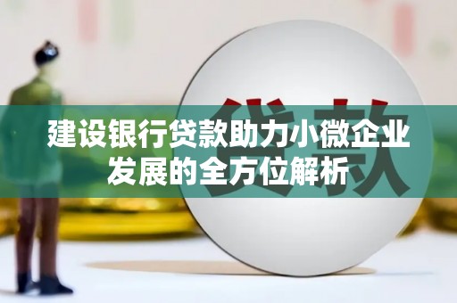 元长建设银行贷款助力小微企业发展的全方位解析