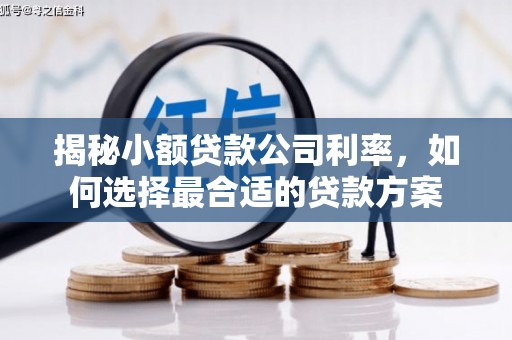 元长揭秘小额贷款公司利率，如何选择最合适的贷款方案