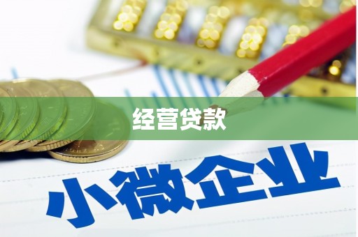 元长经营贷款