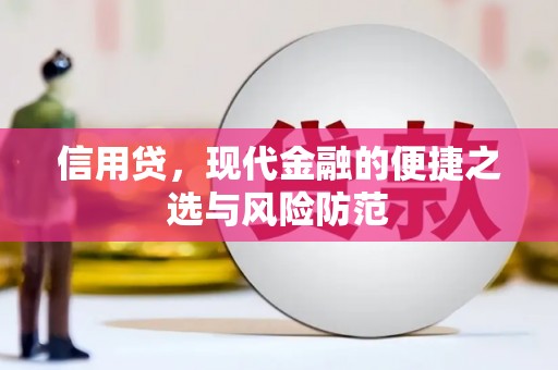 元长信用贷，现代金融的便捷之选与风险防范