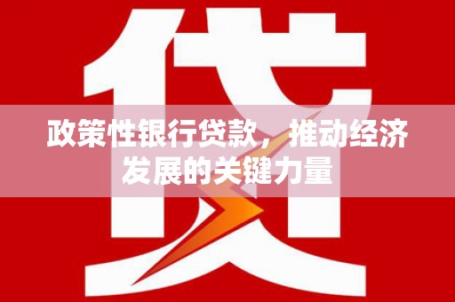 元长政策性银行贷款，推动经济发展的关键力量
