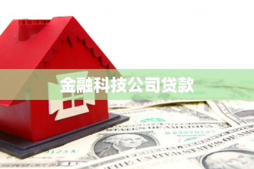 元长金融科技公司贷款