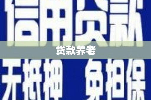 元长贷款养老