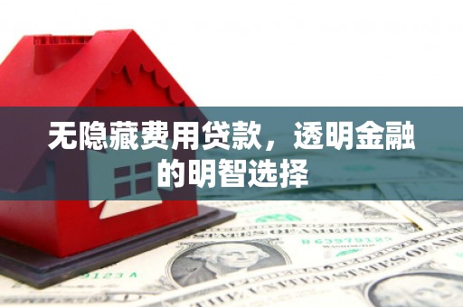 元长无隐藏费用贷款，透明金融的明智选择