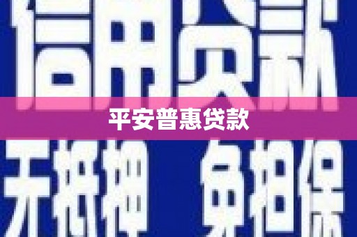 元长平安普惠贷款