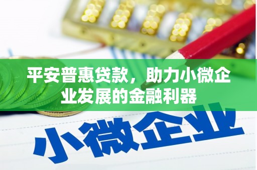 元长平安普惠贷款，助力小微企业发展的金融利器