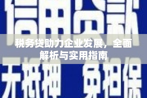 元长税务贷助力企业发展，全面解析与实用指南