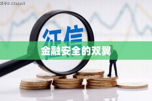 元长金融安全的双翼