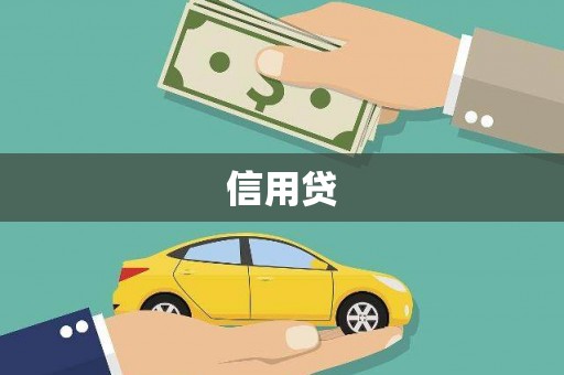 元长信用贷