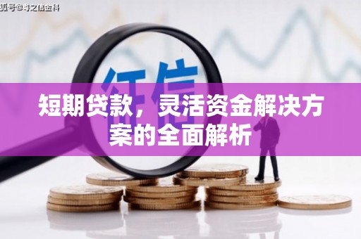 元长短期贷款，灵活资金解决方案的全面解析