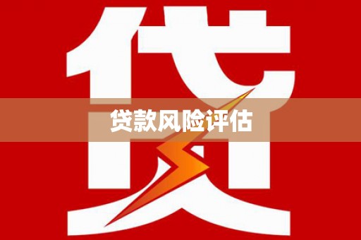 元长贷款风险评估