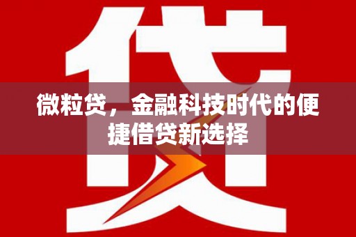 元长微粒贷，金融科技时代的便捷借贷新选择