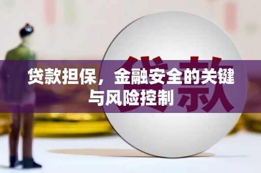 元长贷款担保，金融安全的关键与风险控制