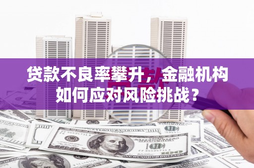 元长贷款不良率攀升，金融机构如何应对风险挑战？