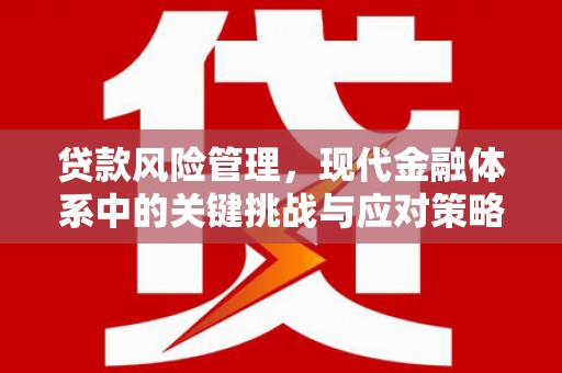 元长贷款风险管理，现代金融体系中的关键挑战与应对策略