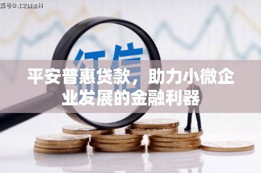 元长平安普惠贷款，助力小微企业发展的金融利器