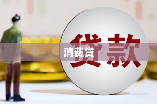 元长消费贷