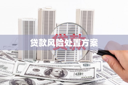 元长贷款风险处置方案