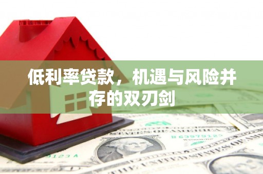 元长低利率贷款，机遇与风险并存的双刃剑