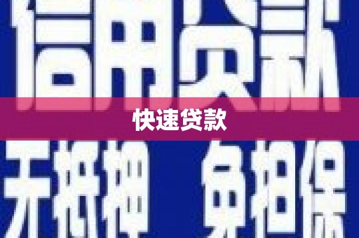 元长快速贷款
