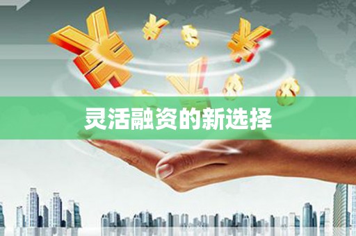元长灵活融资的新选择