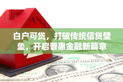 元长白户可贷，打破传统信贷壁垒，开启普惠金融新篇章