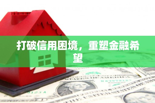 元长打破信用困境，重塑金融希望