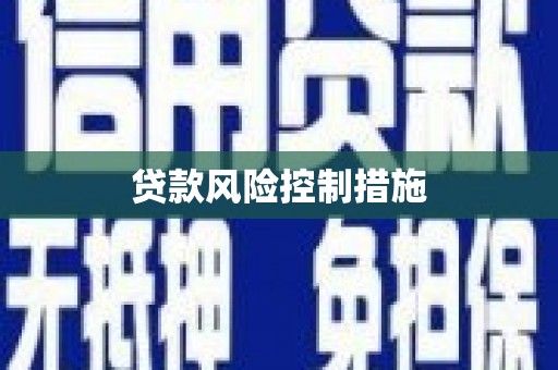 元长贷款风险控制措施