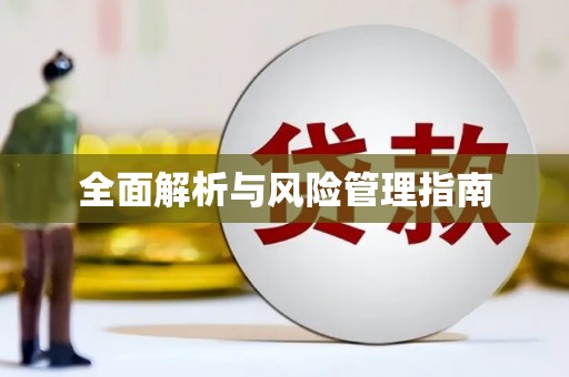 元长全面解析与风险管理指南