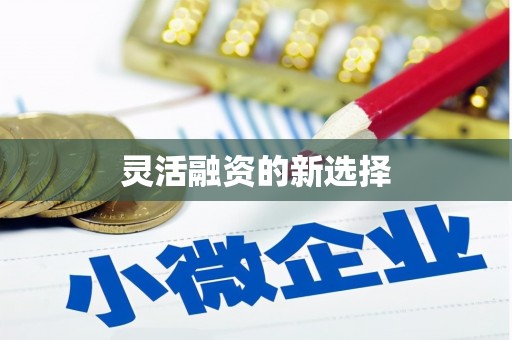 元长灵活融资的新选择