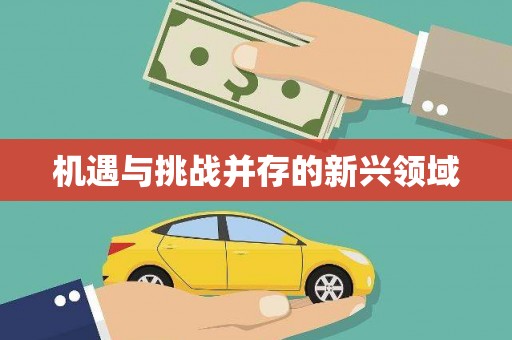元长机遇与挑战并存的新兴领域