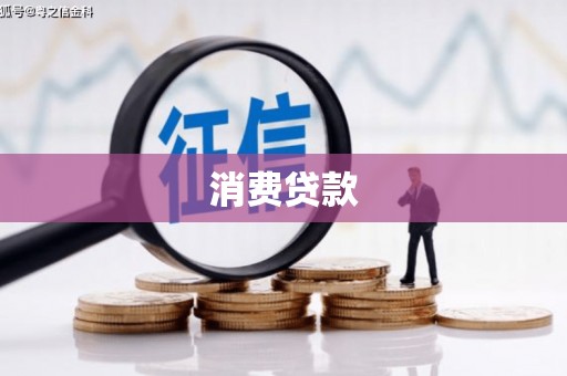 元长消费贷款