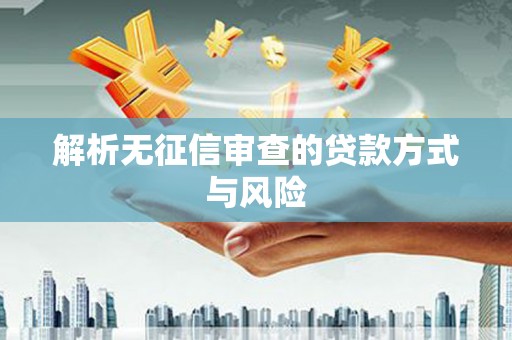 元长解析无征信审查的贷款方式与风险
