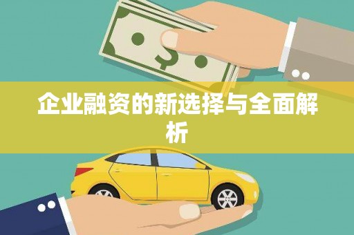 元长企业融资的新选择与全面解析