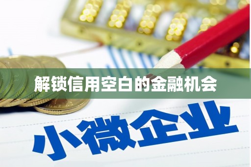 元长解锁信用空白的金融机会