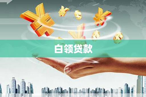元长白领贷款