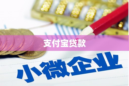 元长支付宝贷款