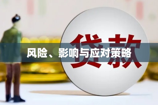 元长风险、影响与应对策略