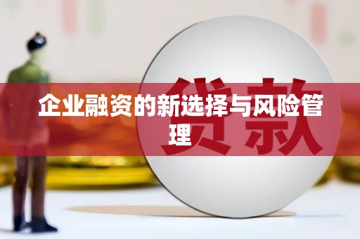 元长企业融资的新选择与风险管理