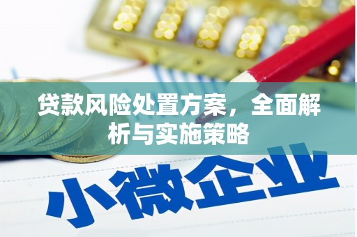 元长贷款风险处置方案，全面解析与实施策略