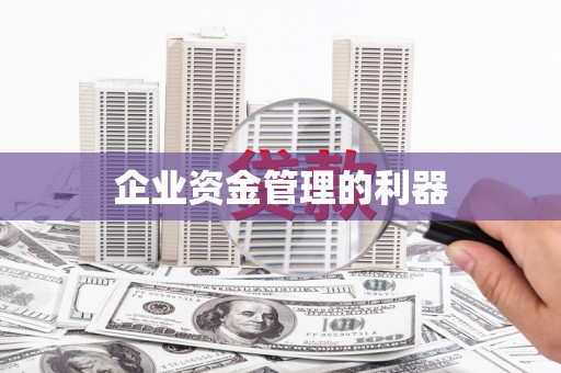 元长企业资金管理的利器