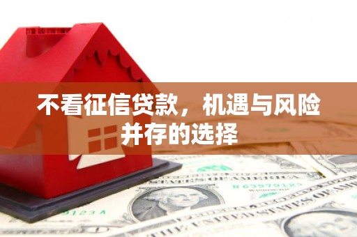 元长不看征信贷款，机遇与风险并存的选择