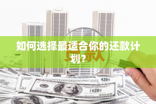 元长如何选择最适合你的还款计划？