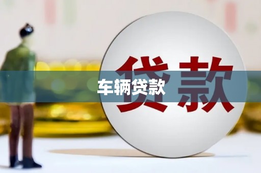 元长车辆贷款
