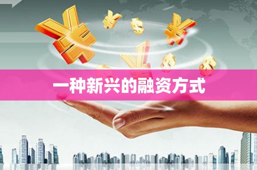 元长一种新兴的融资方式
