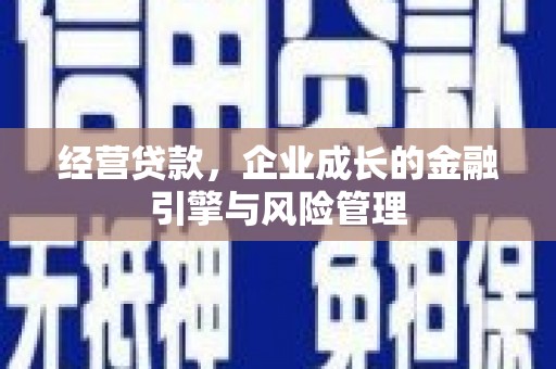 元长经营贷款，企业成长的金融引擎与风险管理