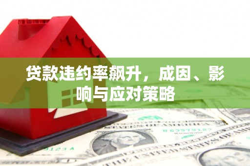 元长贷款违约率飙升，成因、影响与应对策略